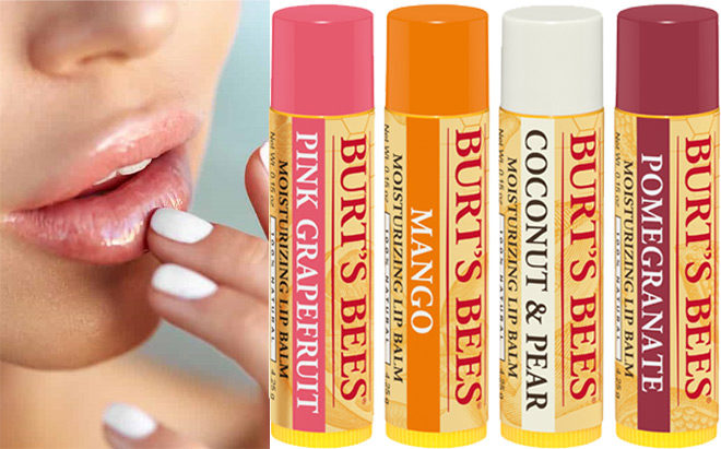 FREE Burt's Bees Lip Balm 4-Pack + FREE Pickup + $0.91 Moneymaker