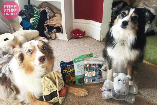 *HOT* $5 (Reg $20) Barkbox Dog Toy & Treat Subscription Box + FREE Shipping