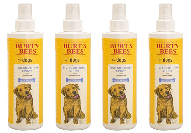 $3.54 (Reg $9) Burt's Bees for Dogs Itch Soothing Spray (BEST Price!)