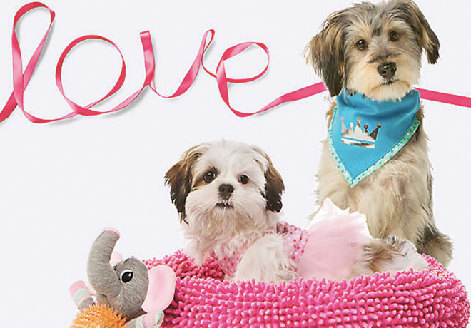 FREE Valentine's Day Photo & Doggie Ice Cream at Petsmart (Today Only)