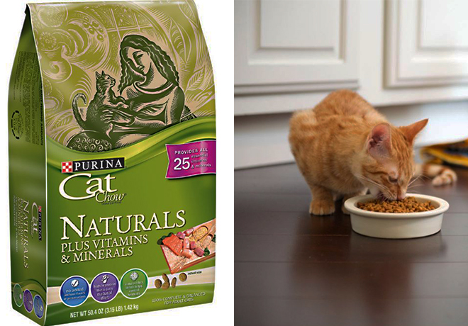 FREE Sample Purina Cat Food