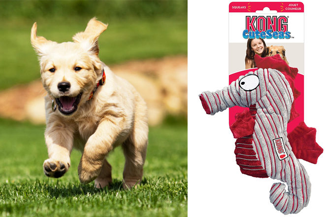 $4.37 (Reg $10) KONG Seahorse Dog Toy