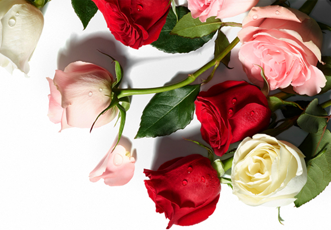 20% Off Two Dozen Roses at Whole Foods