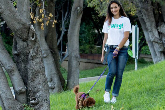 HURRY! FREE 30-Minute Dog Walk (Easy App Download - Treat Your Pup!)