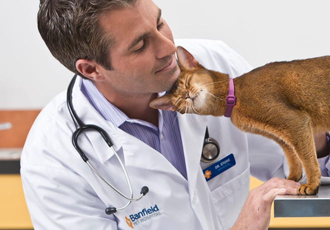 FREE Pet Exam & Consultation at Banfield Pet Hospital (Inside PetSmart Stores!)