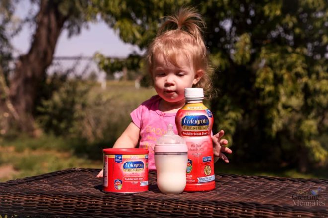 FREE Enfagrow Toddler Milk Sample