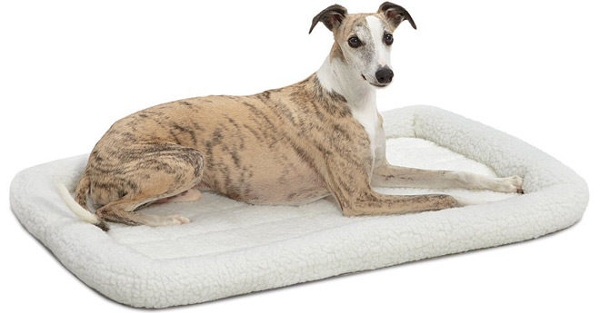 Amazon: MidWest Deluxe Bolster Pet Bed for Dogs & Cats Just $10.88 (Reg $19)