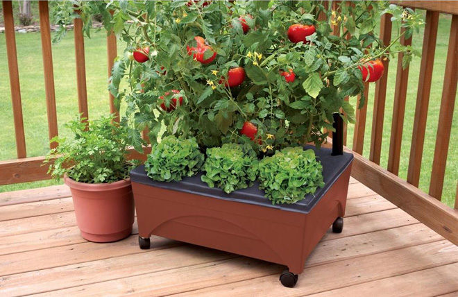 Home Depot: City Pickers Raised Garden Bed Grow Box $19.98 + FREE Pickup (Reg $31)