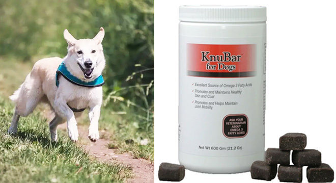 FREE Sample KnuBar Healthy Dog Treats