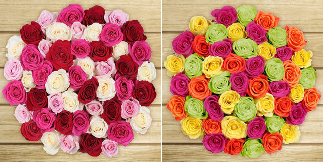 50 Stem Roses For Mother’s Day ONLY $39.99 + FREE Shipping (Preorder Now!)