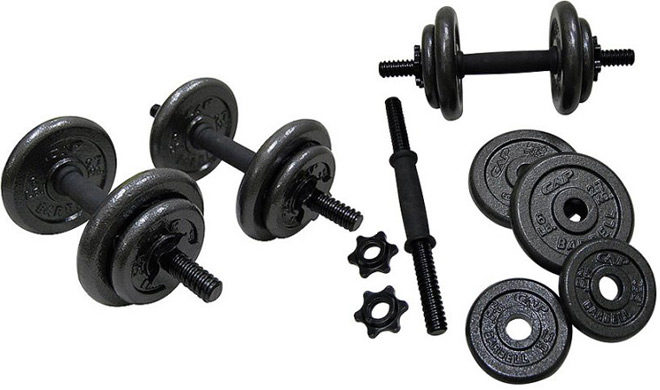 Gold's Gym Adjustable Cast Dumbbell Set 40-lbs Just $29.99 + FREE Pickup (Reg $78)