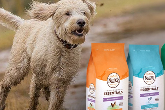 Amazon: Nutro Dog & Cat Food Up to 55% Off (Today Only)