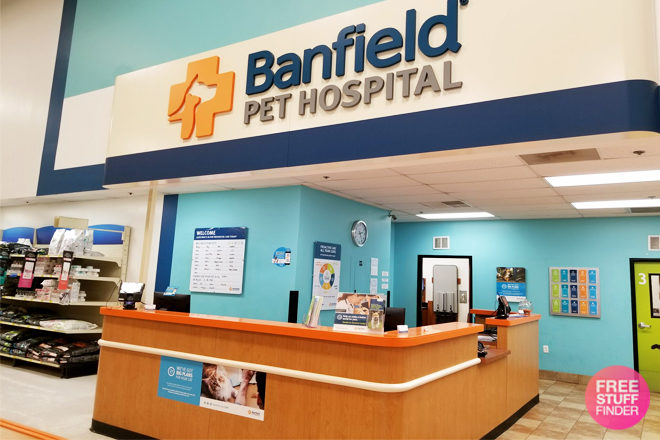 FREE Office Visit at Banfield Pet Hospital