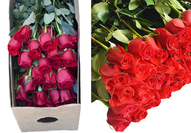 96 Long Stemmed Roses Only $61.16 + FREE Shipping for Amazon Prime Members