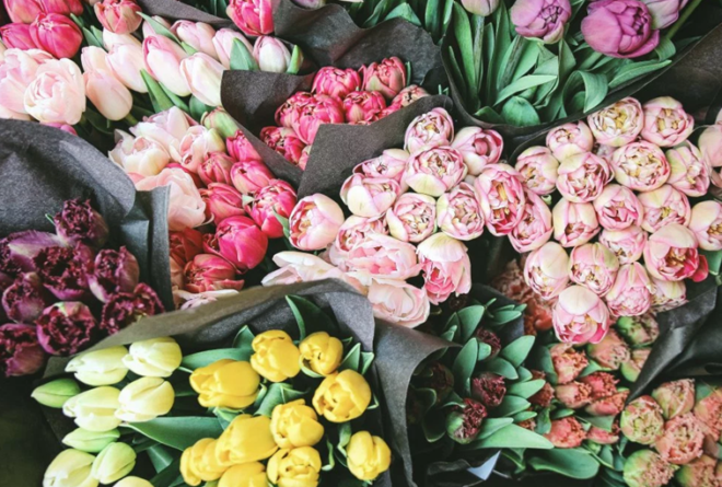 Single-Color 20-Stem Bunch of Tulips for JUST $10 at Whole Foods (Amazon Prime)