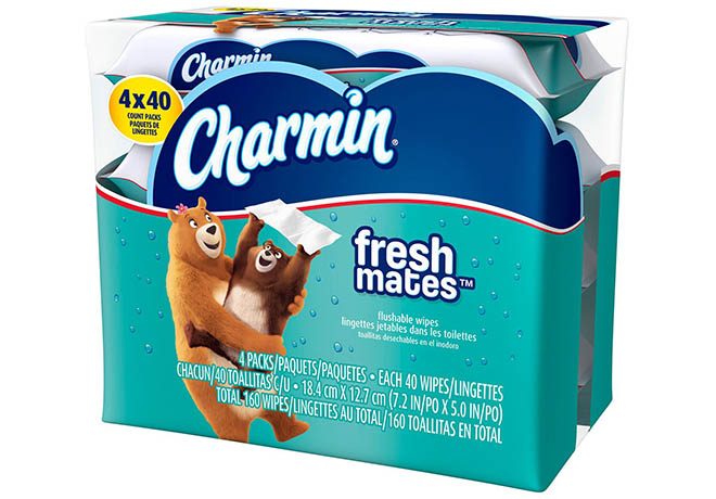 Sam's Club: Charmin Flushable Wet Wipes 40-Count Packs JUST $1 per Pack