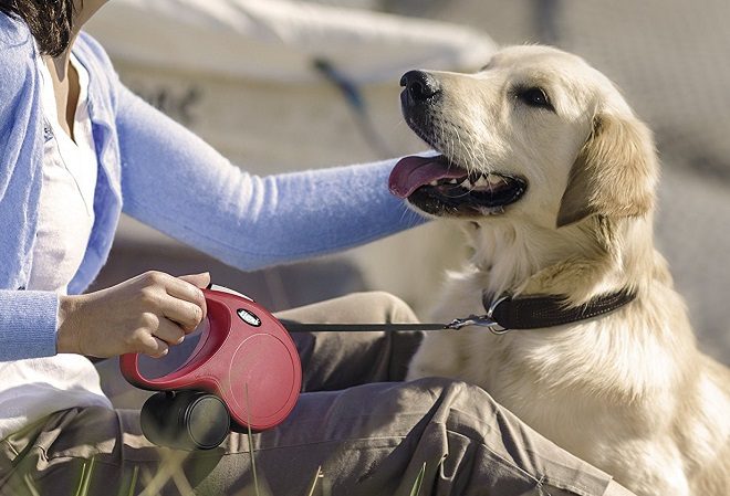 Amazon: Flexi New Classic Tape Leash for ONLY $3.66 (Add-On Item) - Regularly $22!