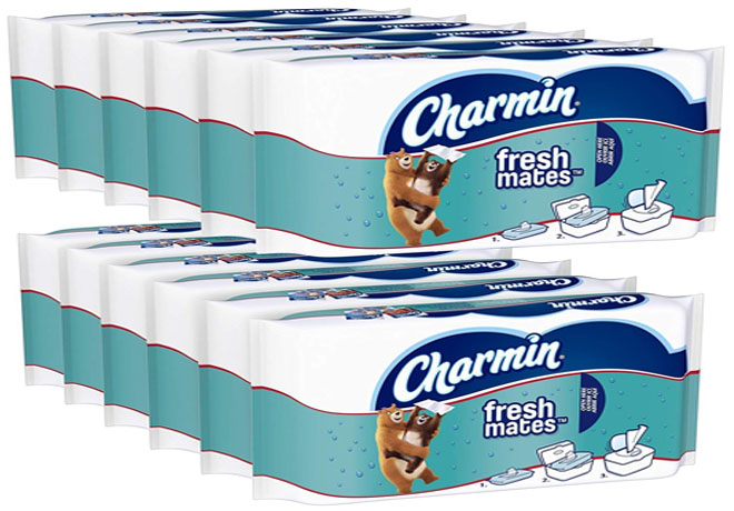 TWELVE Charmin Freshmates 40-Count Packages Only $11.94 on Amazon (Reg $32)