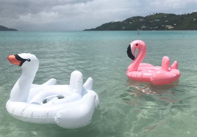Fun Pool Floats for Kids & Adults Starting at Just $10.99 (Regularly up to $39) - 5 Options!