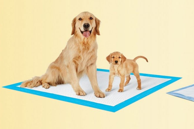 2 FREE Training & Potty Pads + 180-ct Pet Waste Bags from PetsWorld