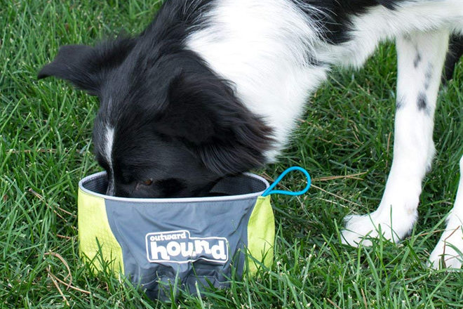 Collapsible Travel Dog Food and Water Bowl Just $3.49 (Regularly $7) on Amazon