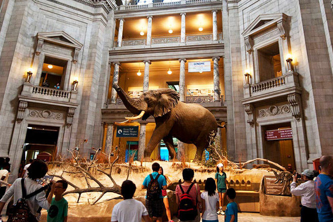 *HOT* 2 FREE Museum Admission Tickets - Request Yours Starting 8/15 at Midnight