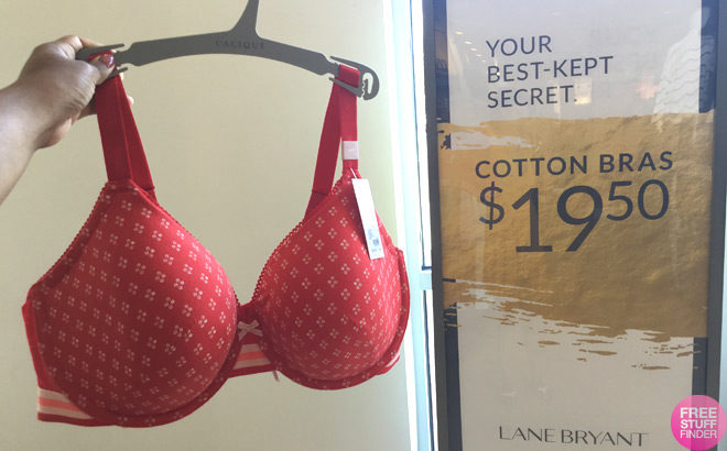 Lane Bryant: Cotton Bras for ONLY $19.50 (Today Only) - Regularly $61!