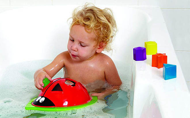 Edushape Ladybug Sorter Only $15.97 on Amazon (Regularly $30)