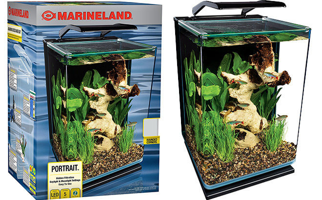 MarineLand 5-Gallon Aquarium with Filter Only $45 + FREE Shipping (Regularly $94)