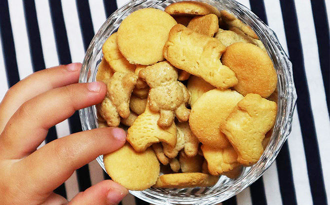 Amazon: Nabisco 20-Count Pack Cookies & Crackers JUST $6.63 + FREE Shipping