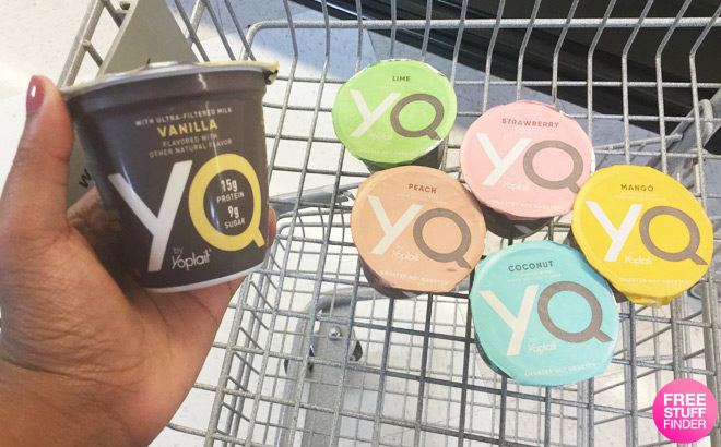 FREE YQ by Yoplait Yogurt at Kroger Affiliate Stores (Load Now) – Today Only!