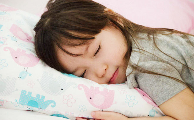 Amazon: Little Sleepy Head Toddler Pillow Just $14 (Regularly $30) - Today Only!