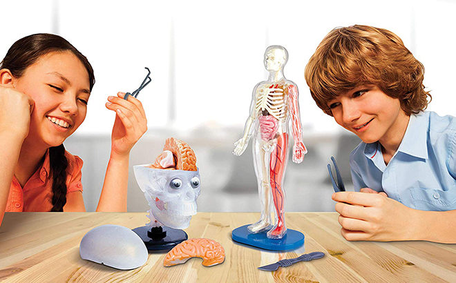 SmartLab Totally Squishy From Head-To-Toe ONLY $13.98 (Regularly $40) at Amazon