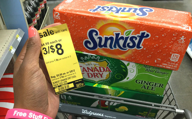 7Up, A&W, Sunkist & Canada Dry 12-Packs ONLY $2.67 Each at Walgreens (Reg $6)