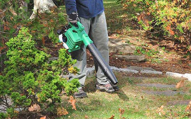 Hitachi Gas Powered Leaf Blower JUST $89 (Reg $149.95) + FREE Shipping on Amazon