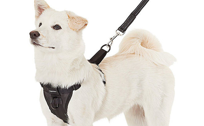 Dog Harness X-Large Only $5.39 (Reg $19)