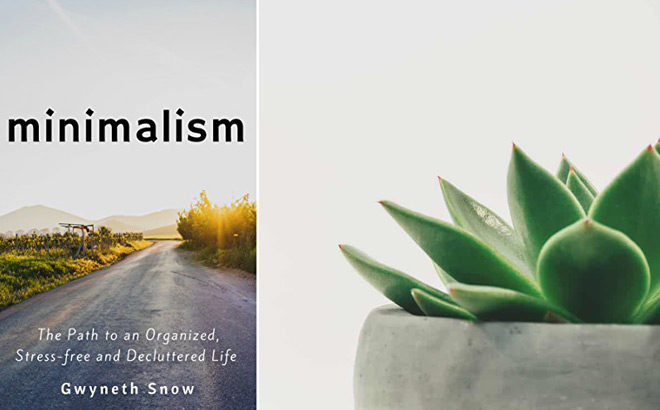 FREE Minimalism eBook (Regularly $13.50)