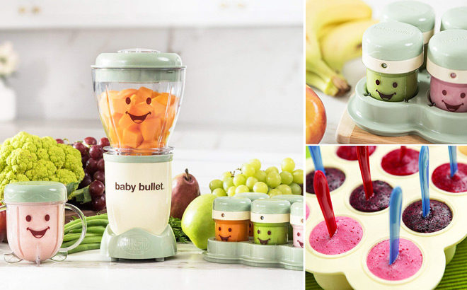 Magic Bullet Baby Bullet JUST $39.99 + FREE Shipping (Regularly $60)