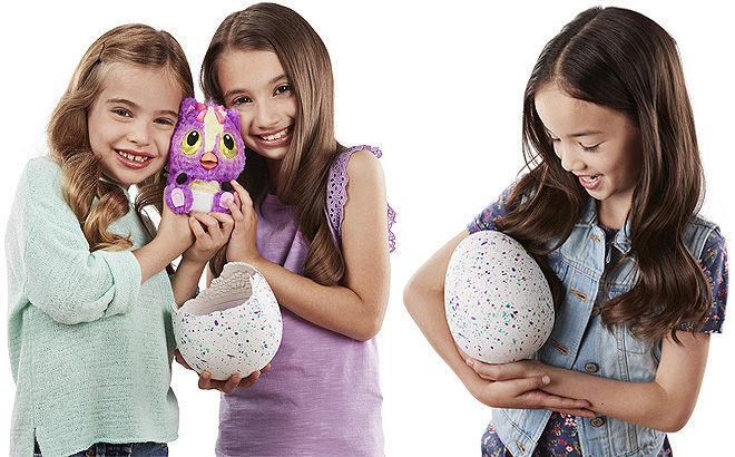 Amazon: Hatchimals HatchiBabies Ponette JUST $48.88 (Reg $60) + FREE Shipping