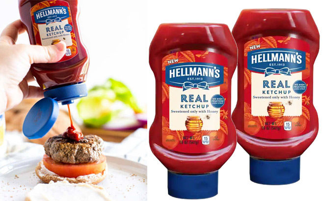 FREE Hellmann's Real Ketchup at Winn Dixie