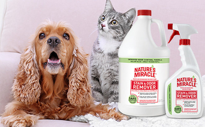 Amazon: Up to 45% Off Nature’s Miracle Pet Odor & Stain Remover Products