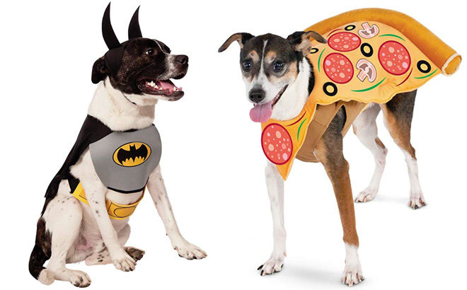 Cute Halloween Pet Costumes Starting at $10 on Amazon -  Get Your Pet Ready!