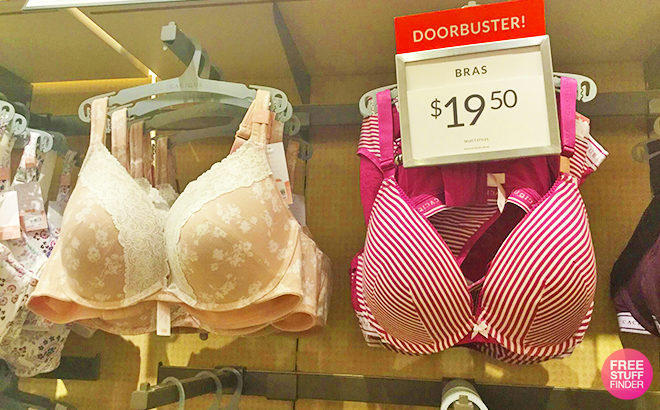 Lane Bryant: Cotton Bras ONLY $19.50 (Regularly $60) - Today Only!