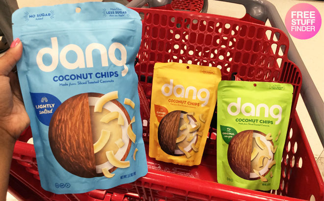 Dang Toasted Coconut Chips Just $2.40 on Amazon - Best Seller!