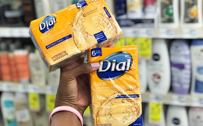 Dial Bar Soap 6-Packs Just $2.50 Each at CVS (Regularly $6.19) - JUST 42¢ per Bar!