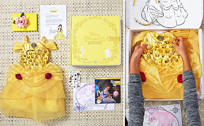 Disney Princess Subscription Boxes, From JUST $49.99 Per Box + FREE Shipping