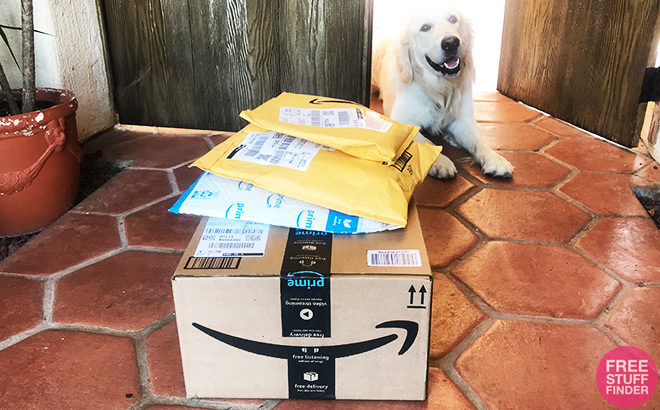 FREE Amazon Shipping on ALL Orders for EVERYONE