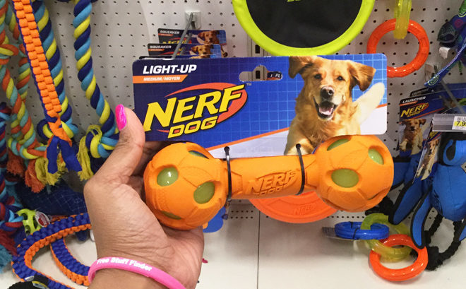 Nerf Dog Toys Black Friday Sale Starting at JUST $2.99 + FREE Shipping at Petco