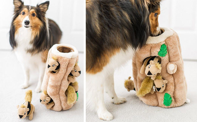 Hide-A-Squirrel Puzzle Plush X-Large Dog Toy Only $13 + FREE Shipping