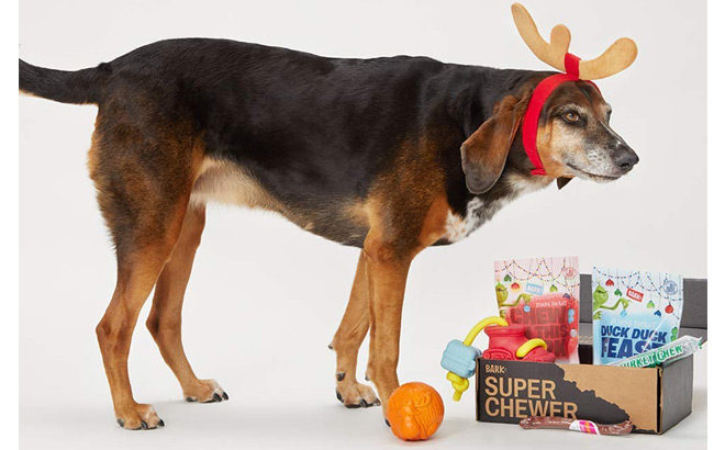 Amazon: Limited Edition BarkBox Plush Toys & Treats $24.50 + FREE Shipping (Reg $45)